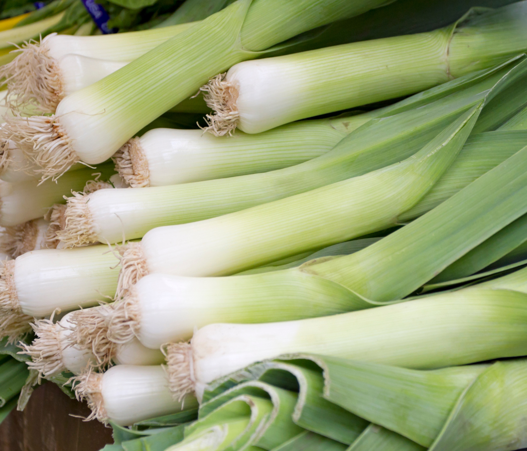 Carentan Leek by MIgardener