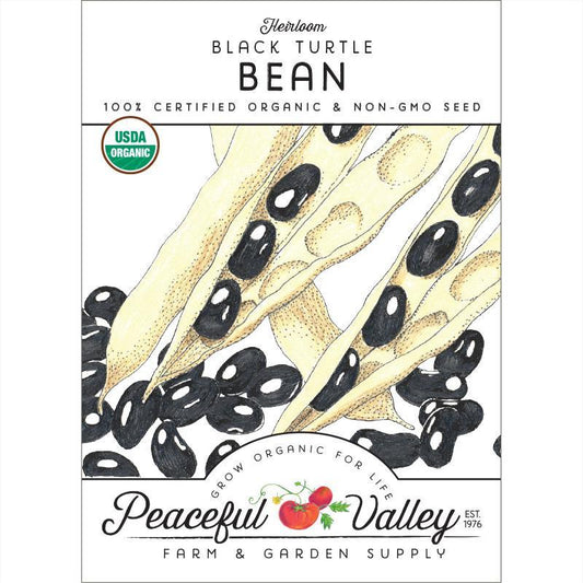 Black Turtle Bush Bean Seeds (Organic), Garden from Grow Organic