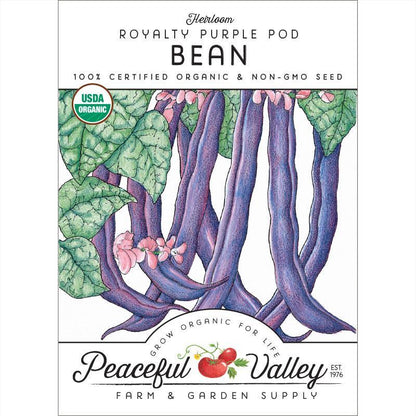 Royalty Purple Pod Bush Bean Seeds (Organic), Garden from Grow Organic