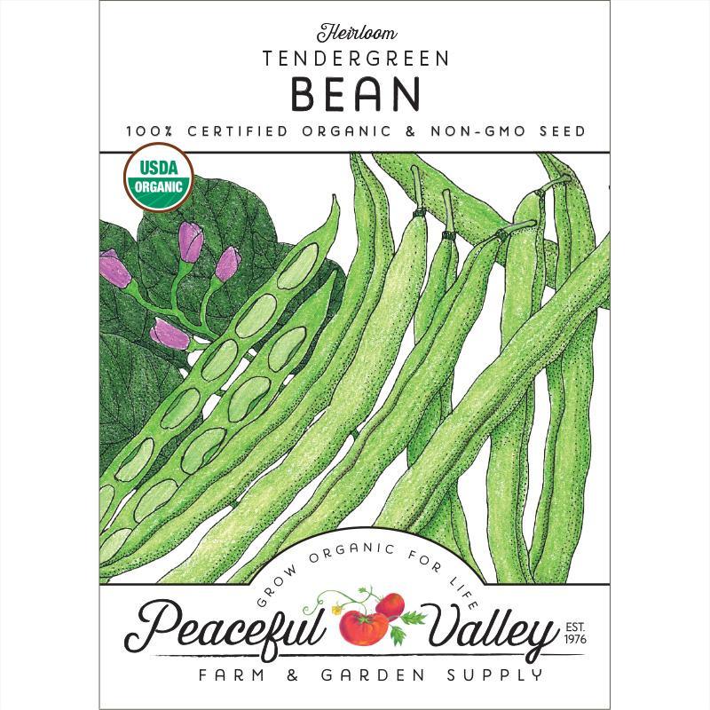 Tendergreen Bush Bean Seeds (Organic), Garden from Grow Organic
