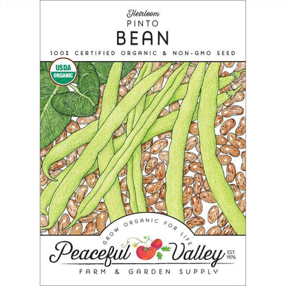 Pinto Bean Seeds (Organic), Garden from Grow Organic