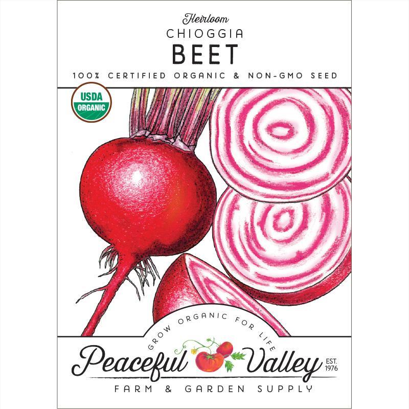 Chioggia Beet Seeds (Organic), Garden from Grow Organic