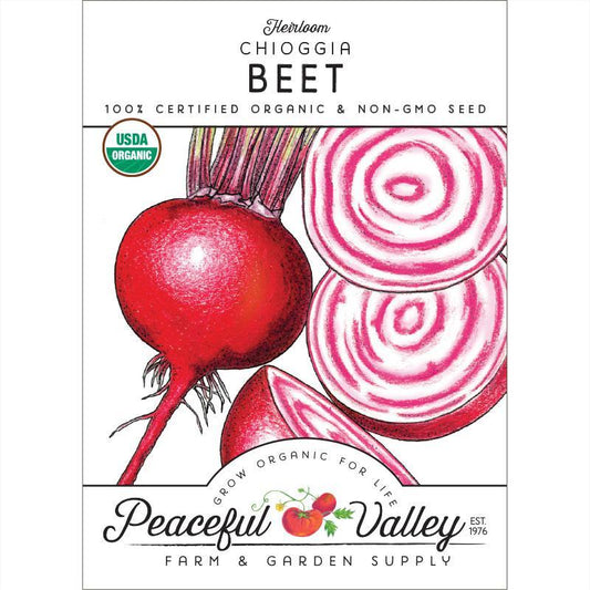 Chioggia Beet Seeds (Organic), Garden from Grow Organic