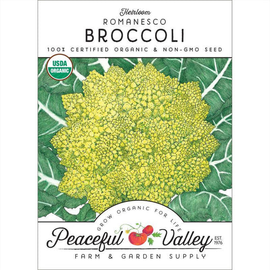 Romanesco Broccoli Seeds (Organic), Garden from Grow Organic