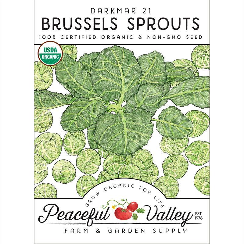 Darkmar 21 Brussels Sprouts Seeds (Organic), Garden from Grow Organic