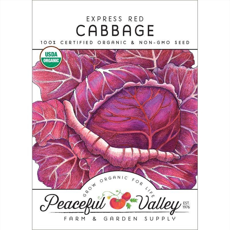 Express Red Cabbage Seeds (Organic), Garden from Grow Organic