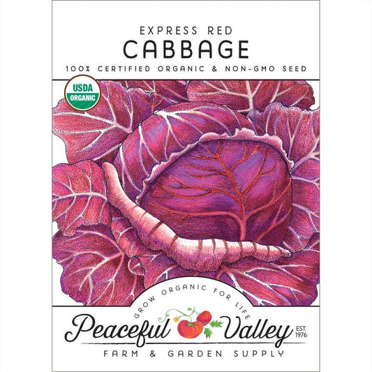 Express Red Cabbage Seeds (Organic), Garden from Grow Organic
