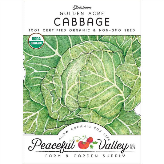Golden Acre Cabbage Seeds (Organic), Garden from Grow Organic