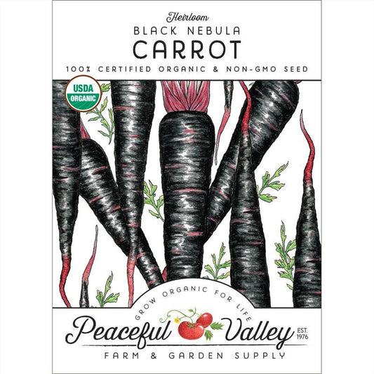 Black Nebula Carrot Seeds (Organic), Garden from Grow Organic
