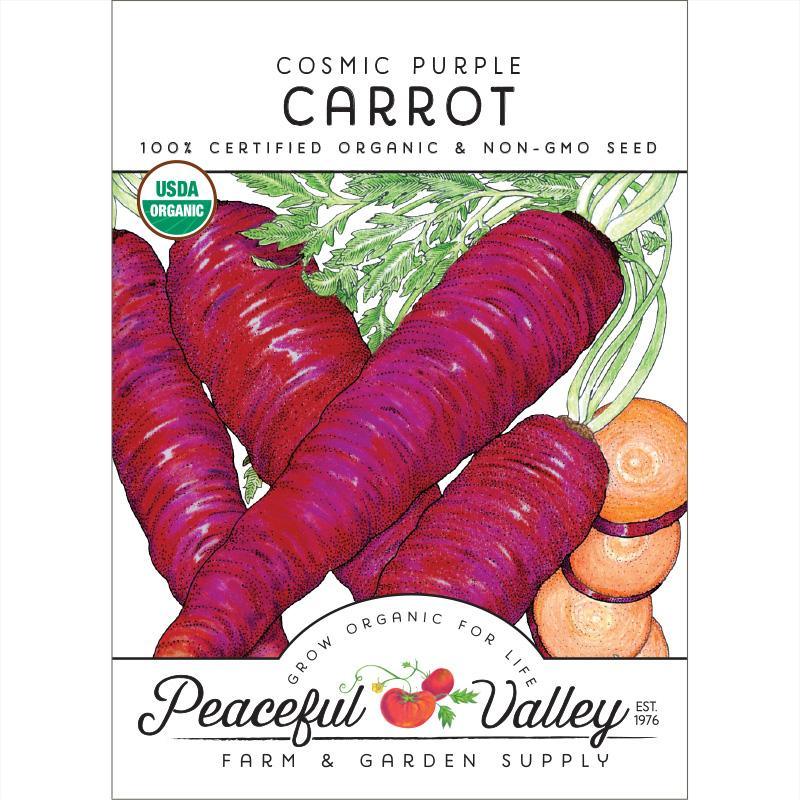 Cosmic Purple Carrot Seeds (Organic), Garden from Grow Organic