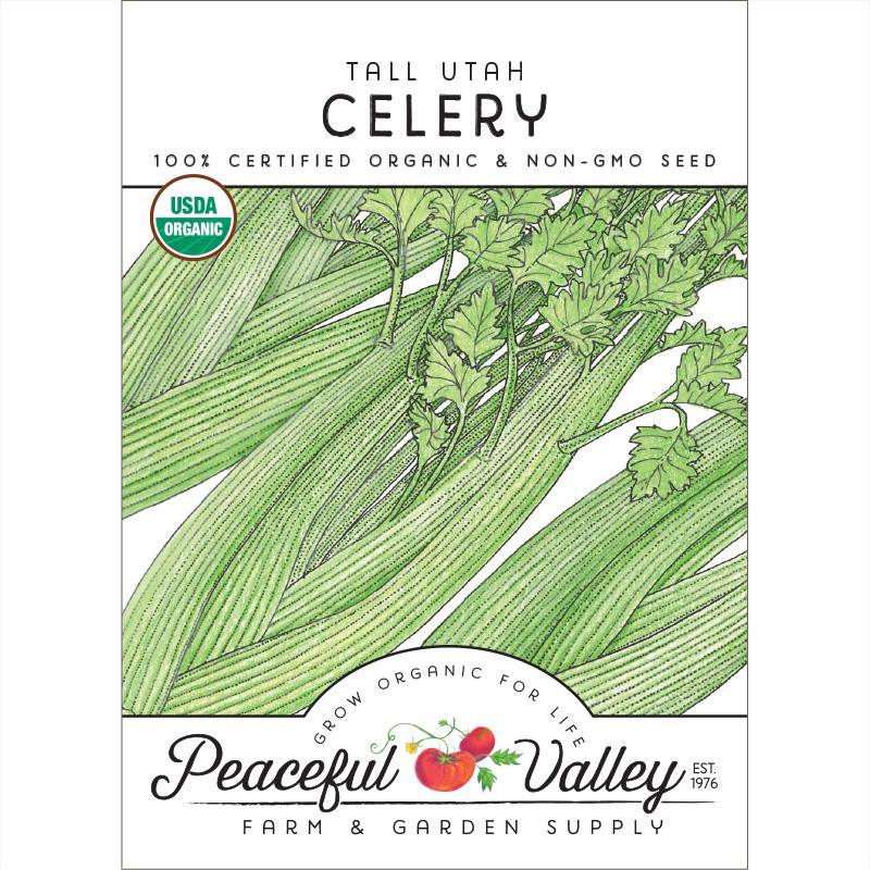 Tall Utah Celery Seeds (Organic), Garden from Grow Organic