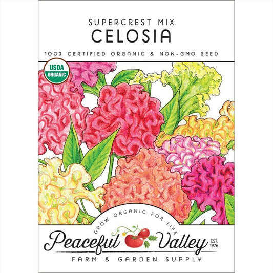 Supercrest Celosia Mix (Organic)
