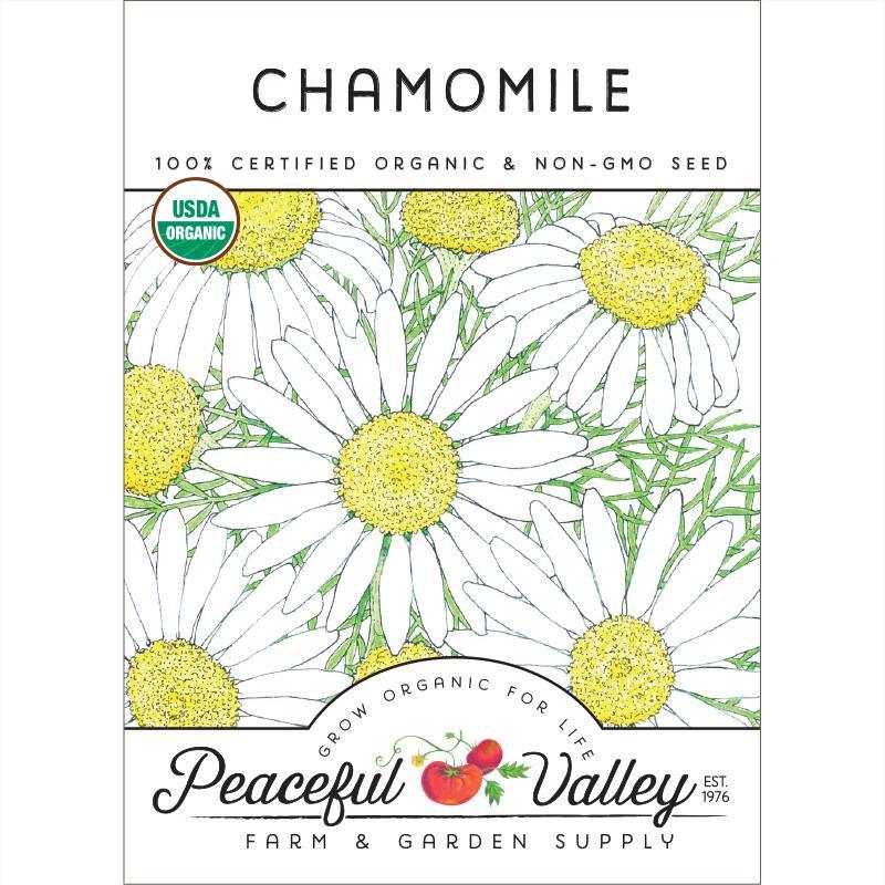 Chamomile Seeds (Organic), Garden from Grow Organic
