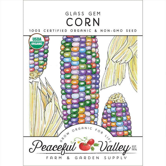 Glass Gem Corn Seeds (Organic), Garden from Grow Organic