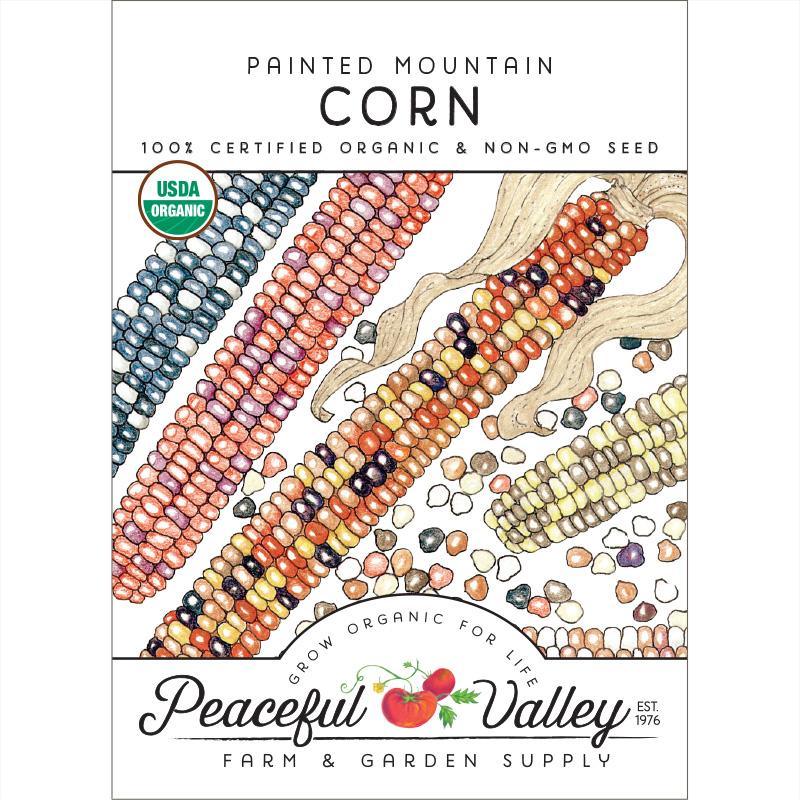 Painted Mountain Corn Seeds (Organic) by Grow Organic