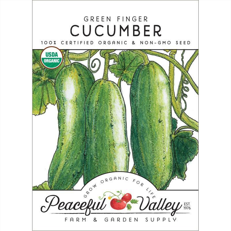 Green Finger Cucumber Seeds (Organic), Garden from Grow Organic