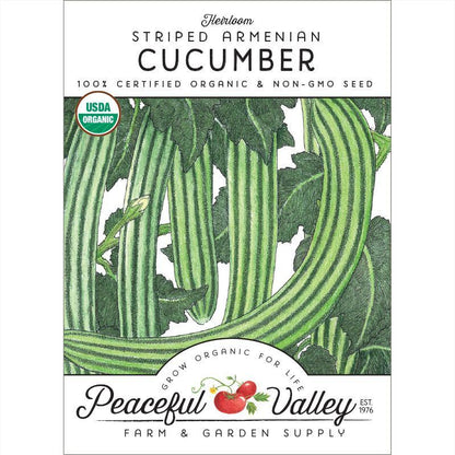 Striped Cucumber Seeds (Organic), Garden from Grow Organic