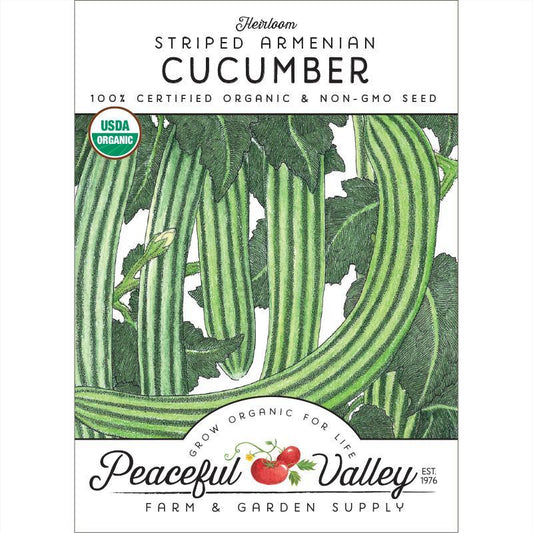 Striped Cucumber Seeds (Organic), Garden from Grow Organic