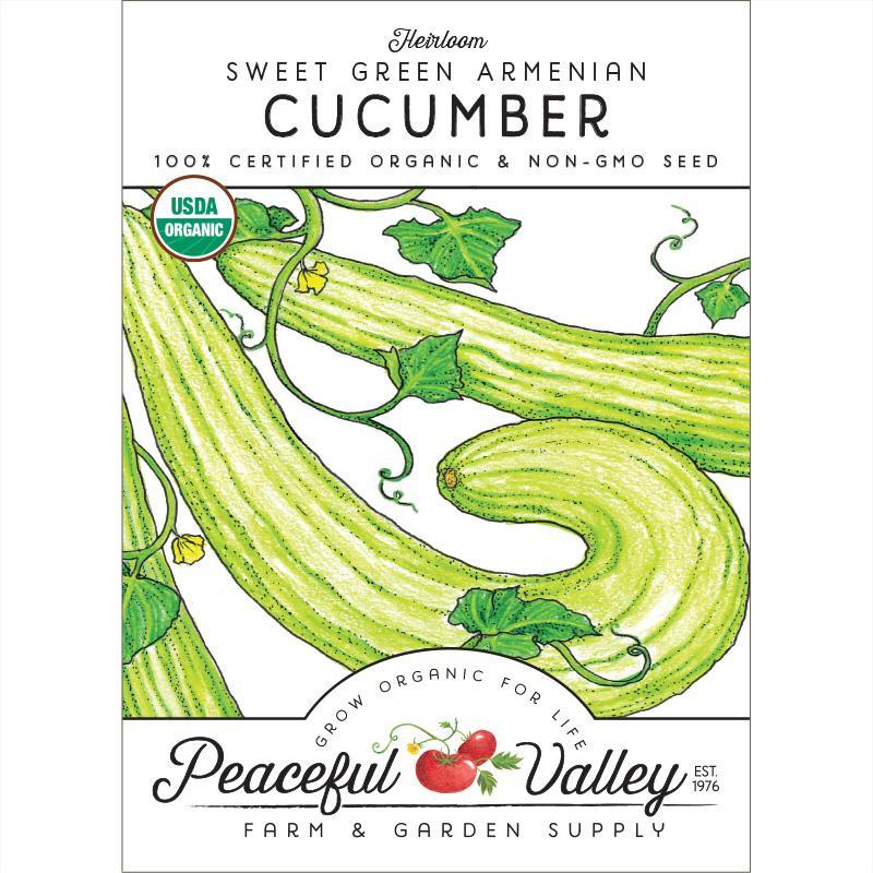 Sweet Green Armenian Cucumber Seeds (Organic) by Grow Organic