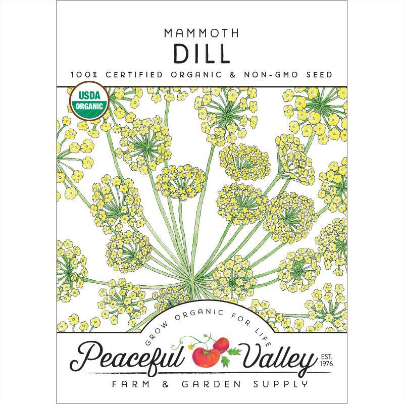 Mammoth Dill Seeds (Organic), Garden from Grow Organic