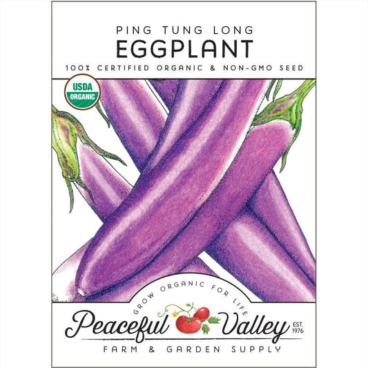 Ping Tung Long Eggplant Seeds (Organic), Garden from Grow Organic