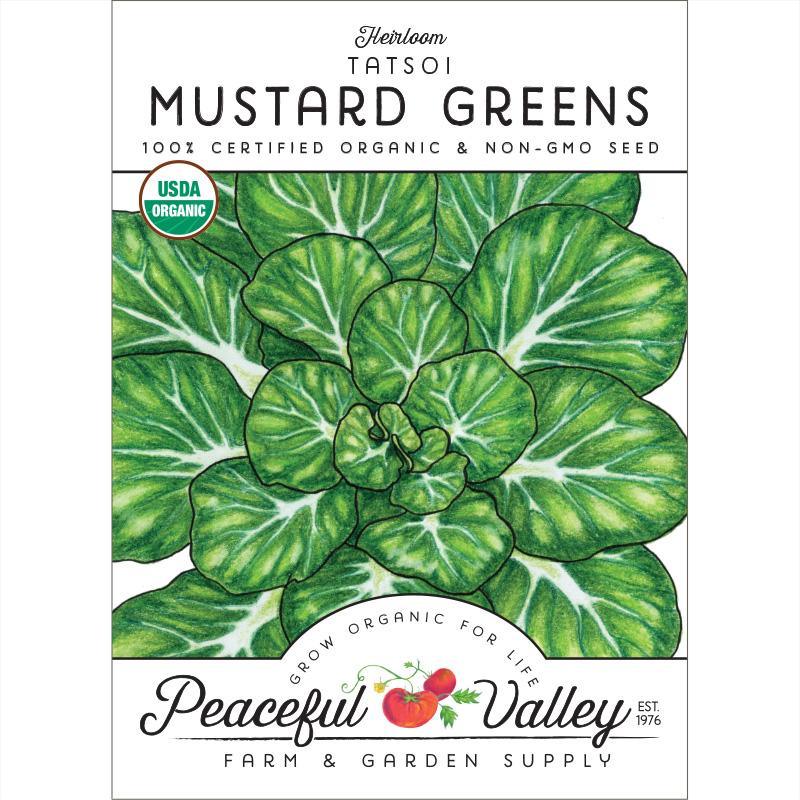 Mustard Tatsoi Greens Seeds (Organic), Garden from Grow Organic