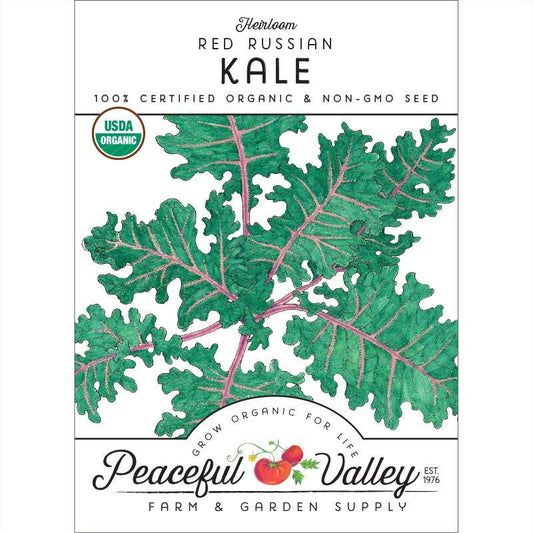 Red Russian Kale Seeds (Organic), Garden from Grow Organic
