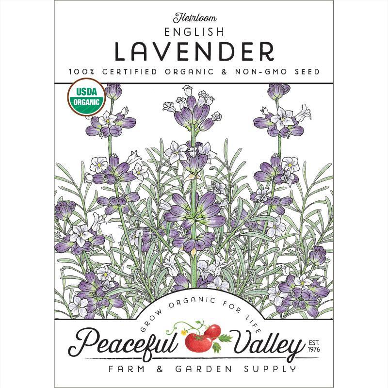 English-Vera Lavender Seeds (Organic), Garden from Grow Organic
