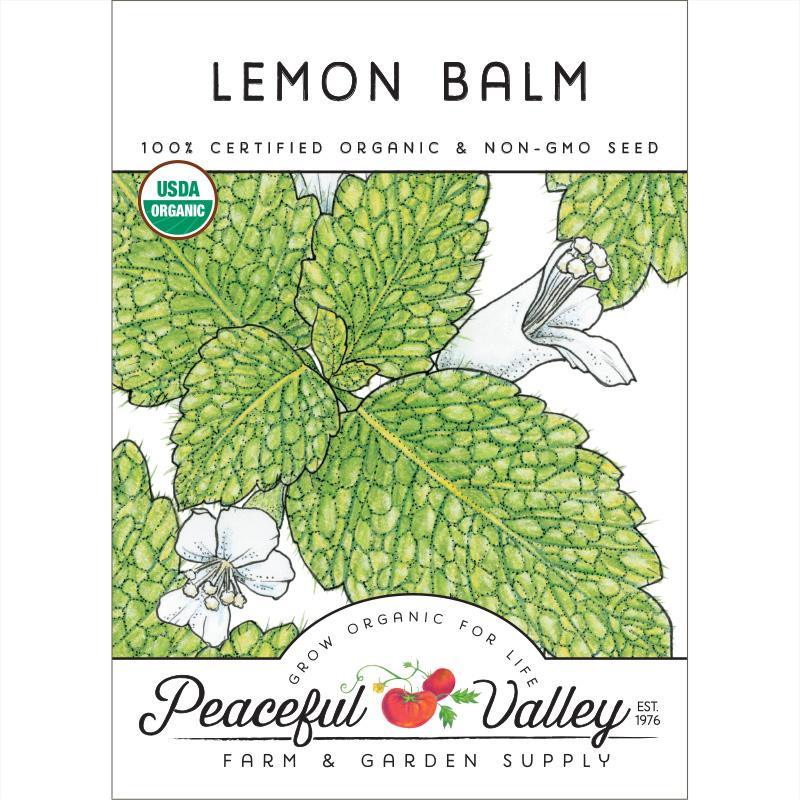 Lemon Balm (Organic), Garden from Grow Organic