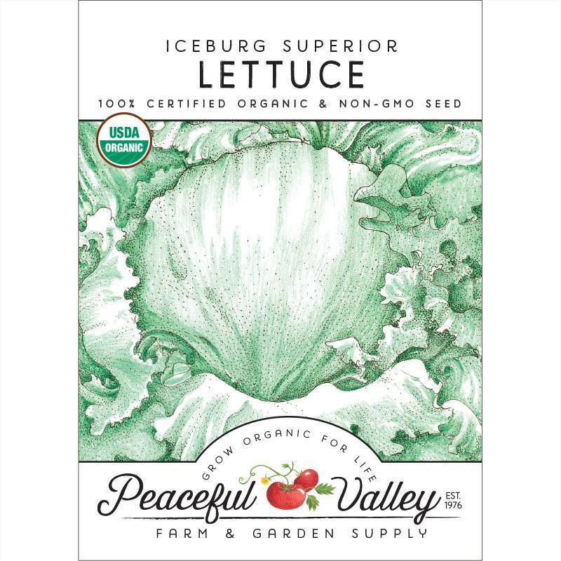 Iceberg Superior Lettuce Seeds (Organic), Garden from Grow Organic