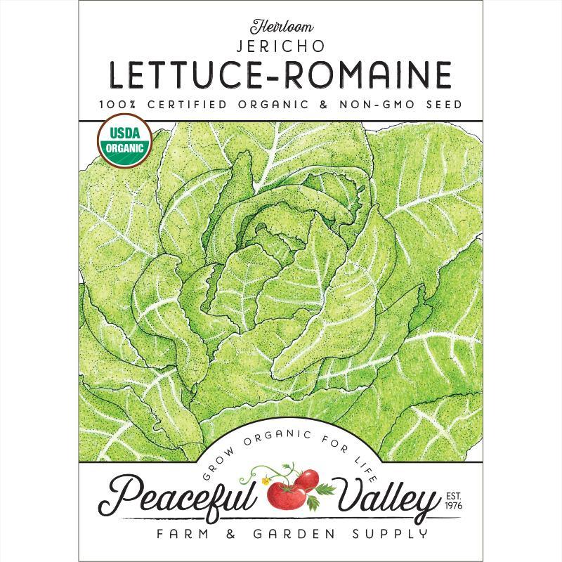 Romaine, Jericho Lettuce Seeds (Organic), Garden from Grow Organic