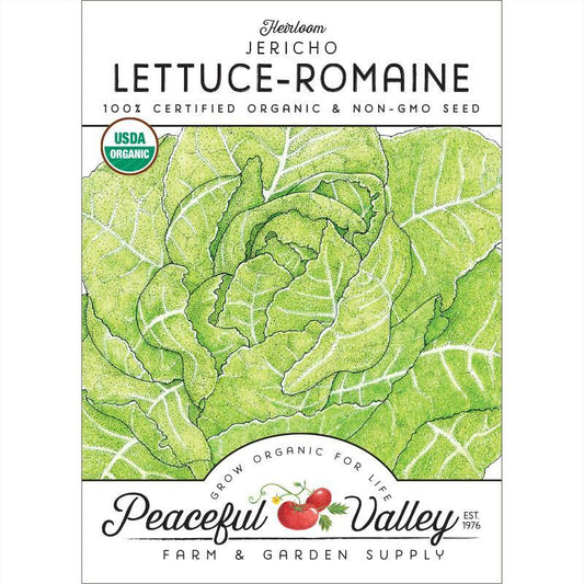 Romaine, Jericho Lettuce Seeds (Organic), Garden from Grow Organic