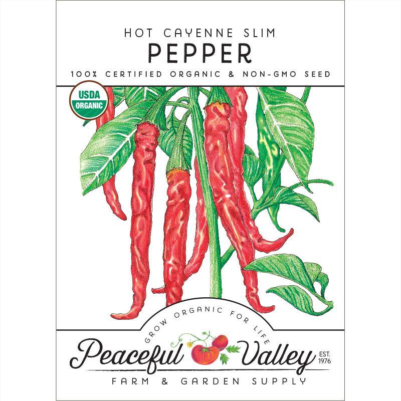 Hot Cayenne Slim Pepper Seeds (Organic), Garden from Grow Organic