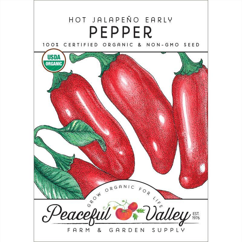 Hot Jalapeno Early Pepper Seeds (Organic), Garden from Grow Organic