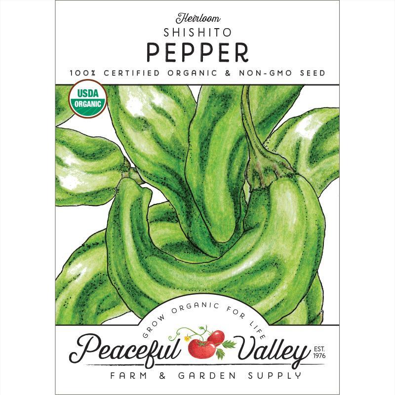 Shishito Pepper Seeds (Organic) by Grow Organic
