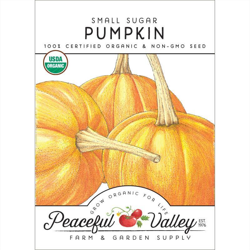Small Sugar Pumpkin Seeds (Organic), Garden from Grow Organic