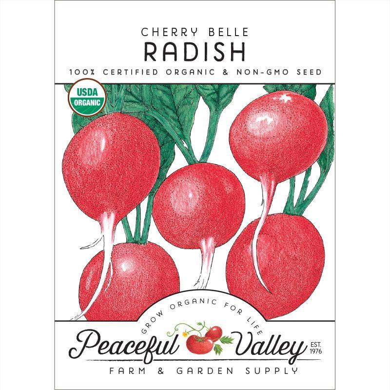 Cherry Belle Radish Seeds (Organic), Garden from Grow Organic