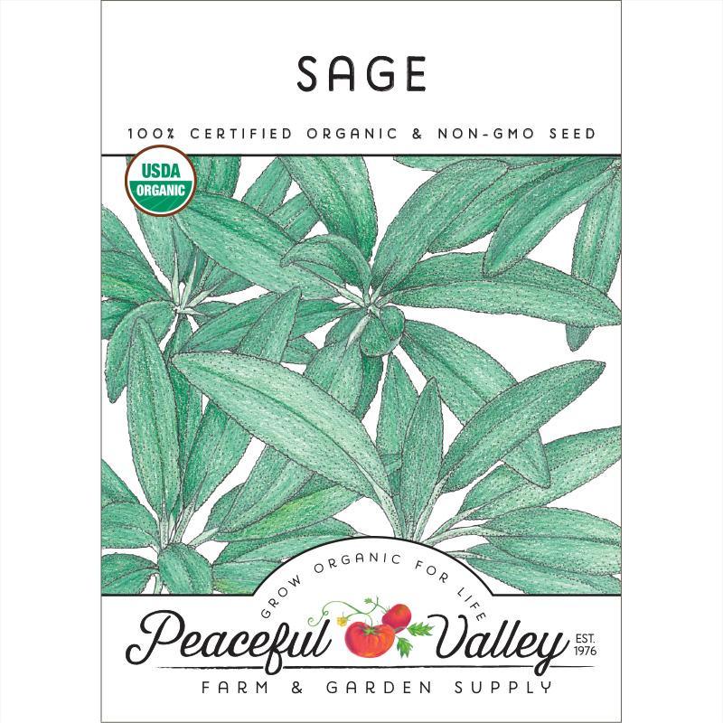 Sage Seeds (Organic), Garden from Grow Organic