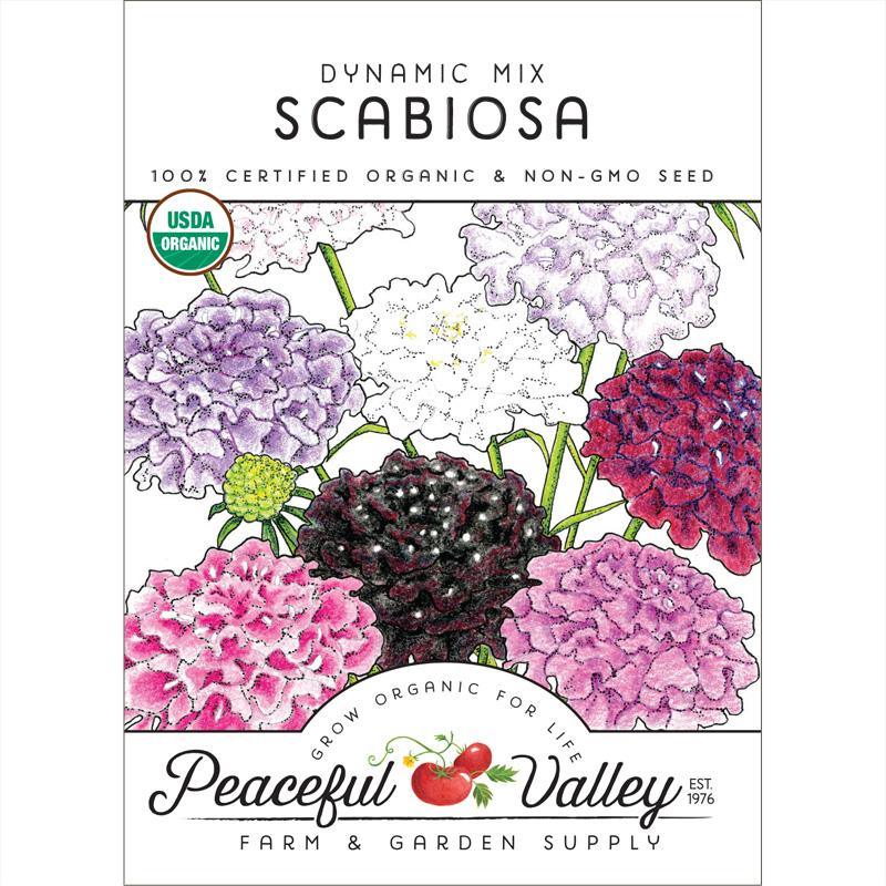 Dynamic Scabiosa Mix (Organic) by Grow Organic