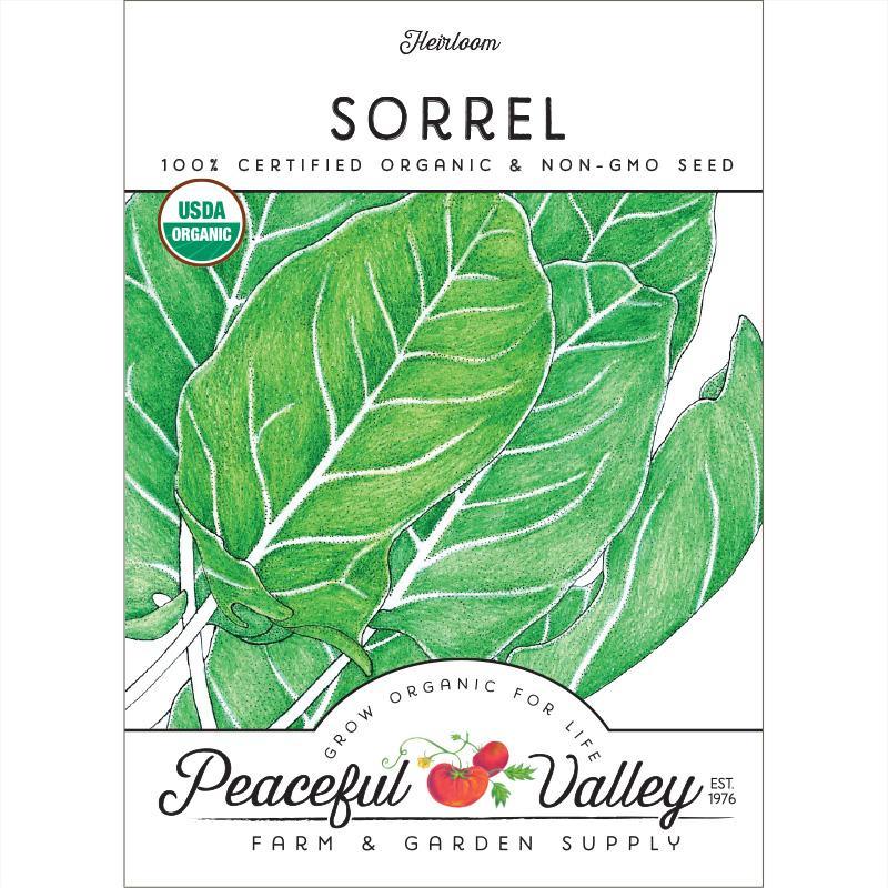 Sorrel Seeds (Organic)