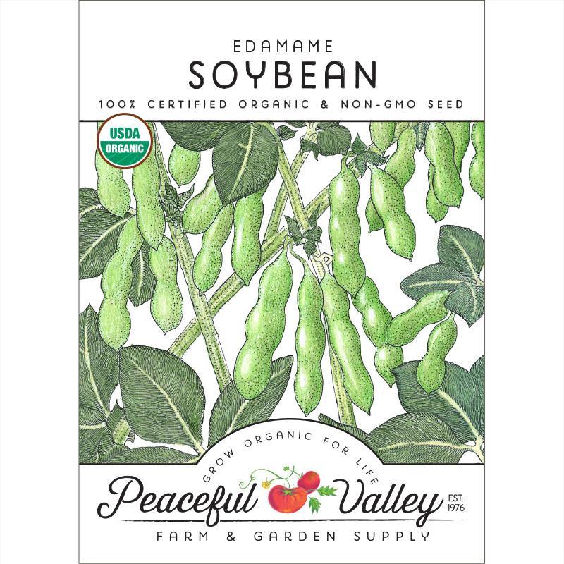 Edamame Soybean Seeds (Organic), Garden from Grow Organic