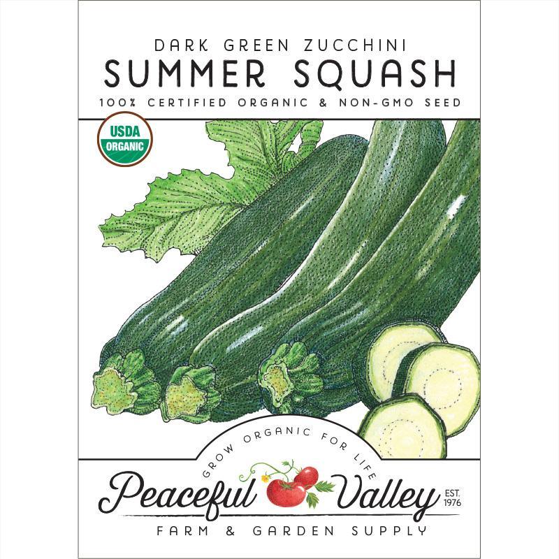 Dark Green Zucchini Summer Squash Seeds (Organic), Garden from Grow Organic