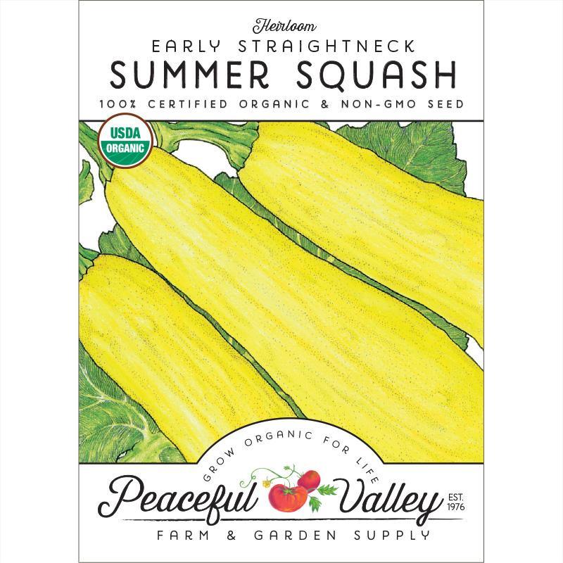 Early Straightneck Summer Squash Seeds (Organic), Garden from Grow Organic