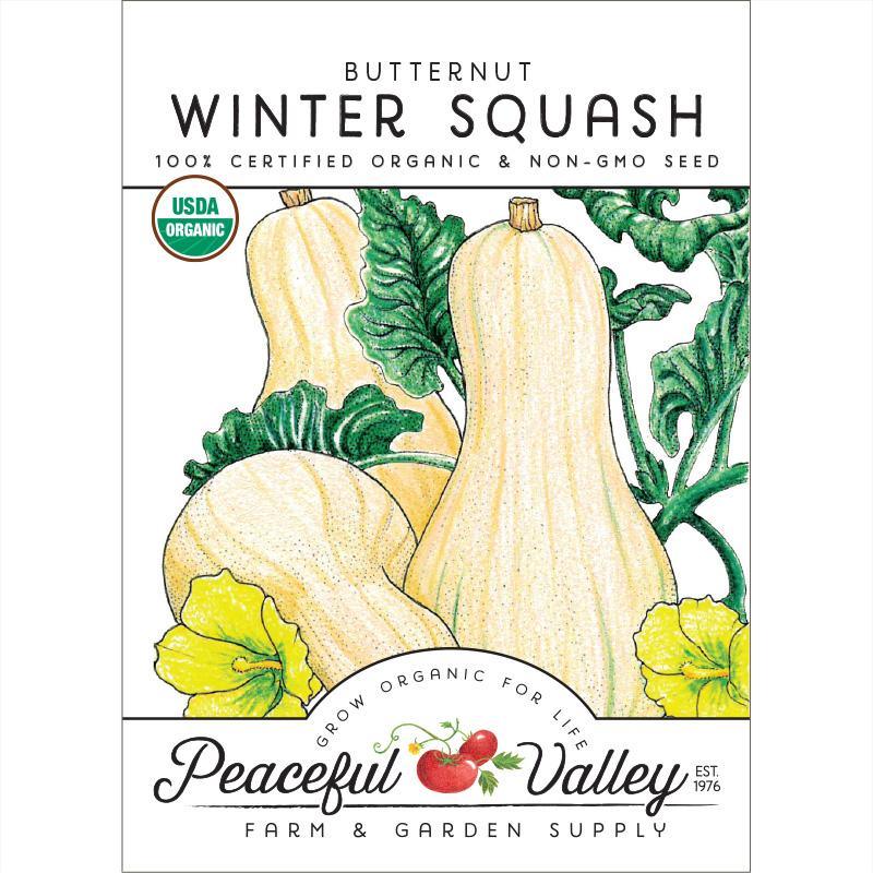 Butternut Winter Squash Seeds (Organic), Garden from Grow Organic