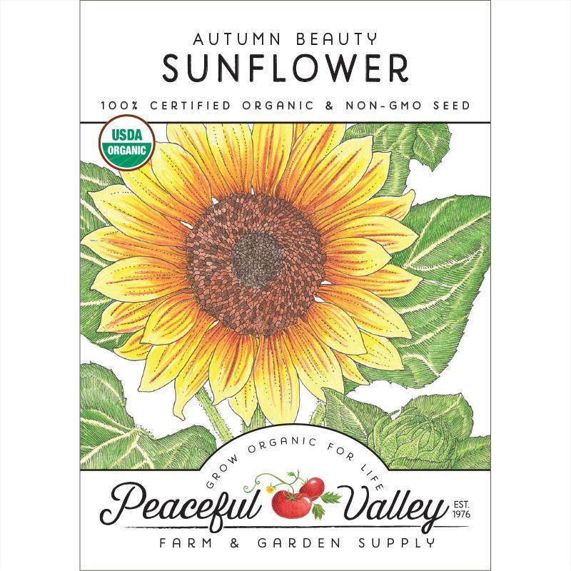 Autumn Beauty Sunflower Seeds (Organic), Garden from Grow Organic