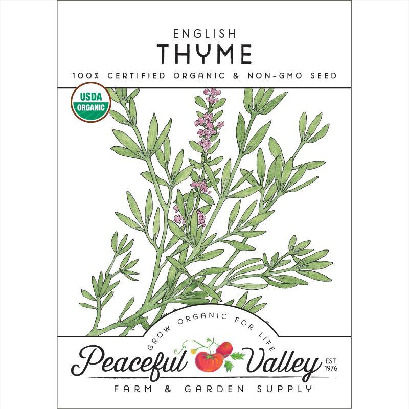 English Thyme Seeds (Organic), Garden from Grow Organic