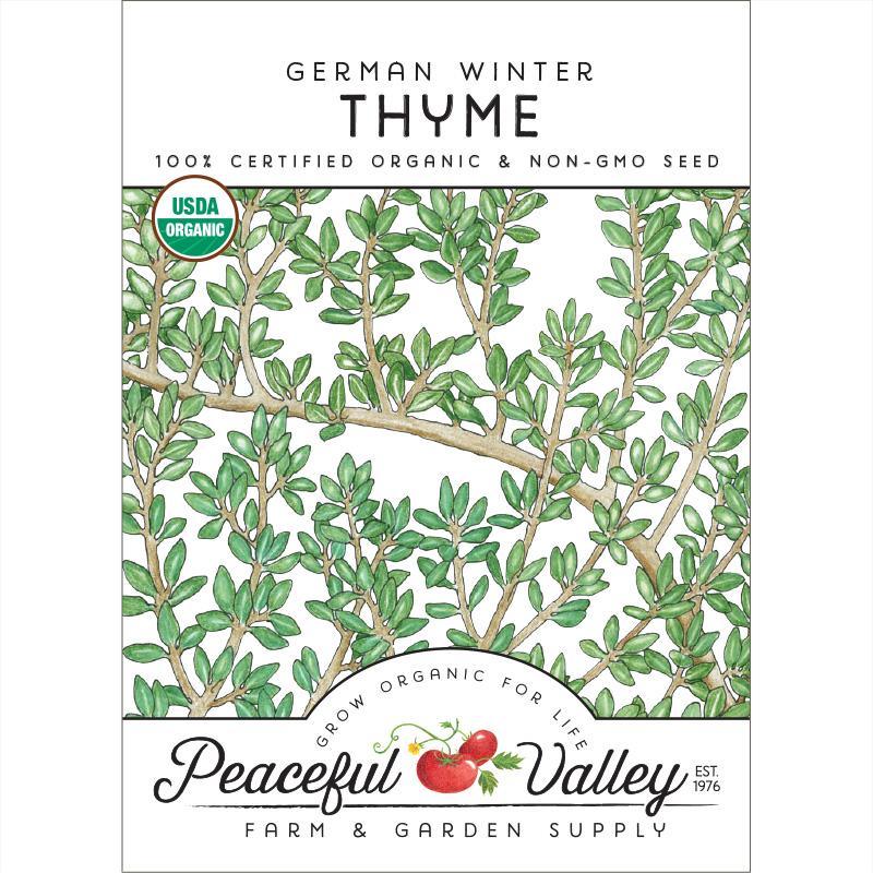 Thyme, German Winter (Organic), Garden from Grow Organic