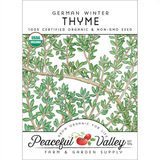 Thyme, German Winter (Organic), Garden from Grow Organic