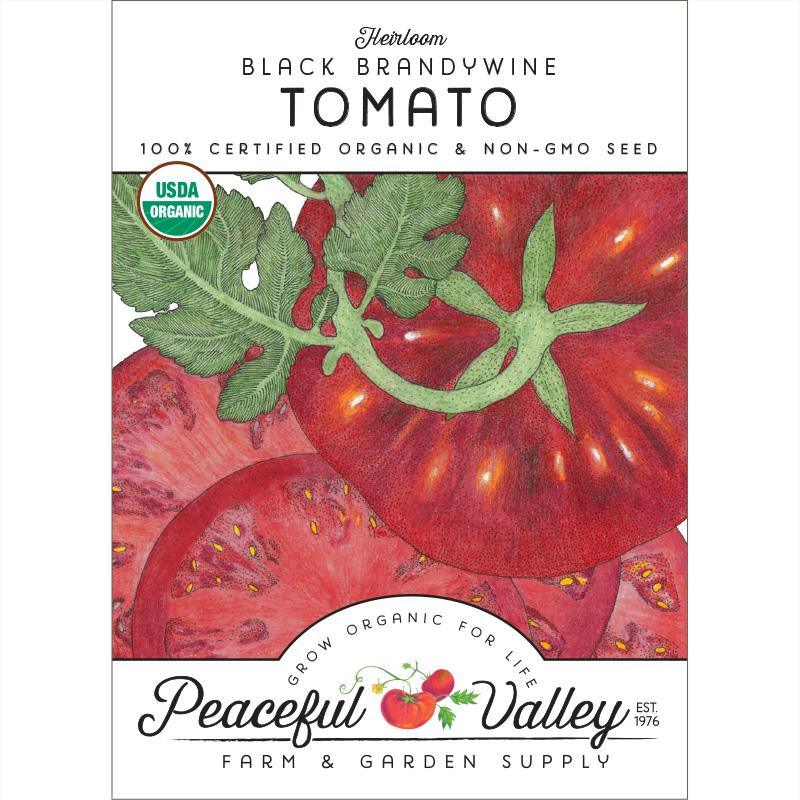Brandywine Black Tomato Seeds (Organic), Garden from Grow Organic
