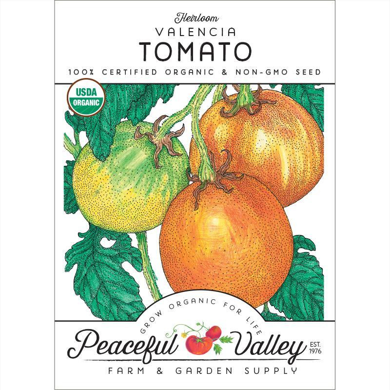 Valencia Tomato Seeds (Organic), Garden from Grow Organic